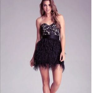 Bebe Isis lace and feather party dress